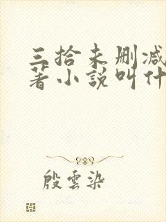 三拾未删减版原著小说叫什么封面