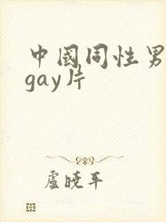 中国同性男男黄gay片