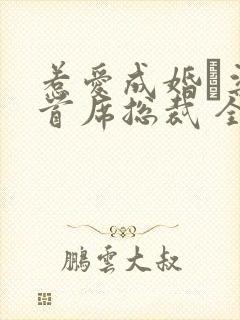 惹爱成婚·染指首席总裁 全文阅读