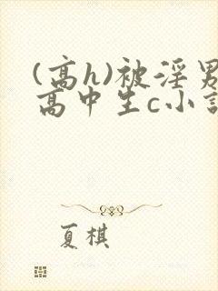 (高h)被淫男高中生c小说