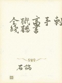 全职高手刺儿在线听书