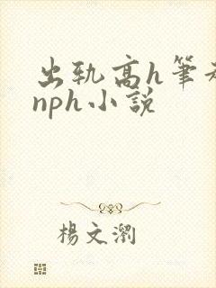 出轨高h笔趣阁nph小说