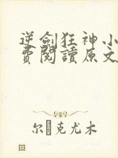 逆剑狂神小说免费阅读原文封面