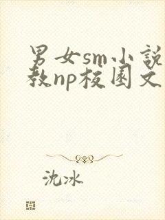 男女sm小说调教np校园文