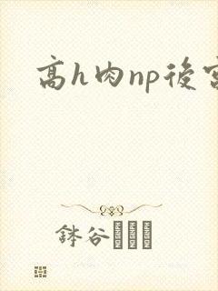 高h肉np后宫封面