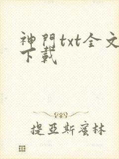 神门txt全文下载