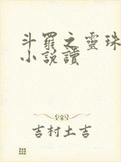 斗罗之灵珠神剑小说读