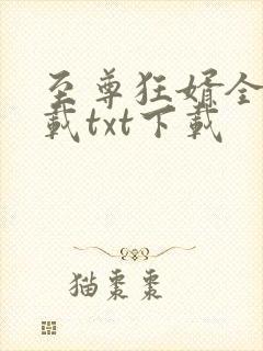 至尊狂婿全文下载txt下载封面