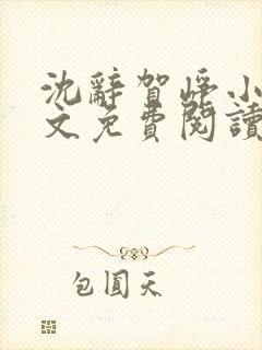 沈辞贺峥小说全文免费阅读