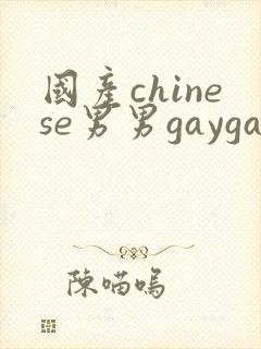 国产chinese男男gaygay无套