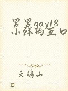 男男gay18小鲜肉互口