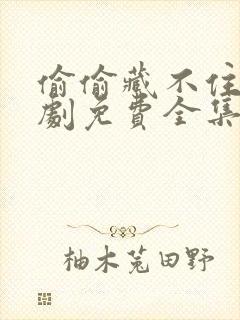 偷偷藏不住广播剧免费全集