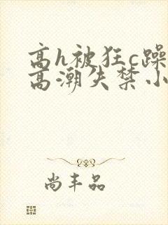 高h被狂c躁到高潮失禁小说