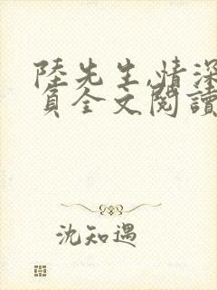 陆先生,情深不负全文阅读免费