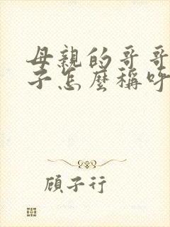 母亲的哥哥的儿子怎么称呼