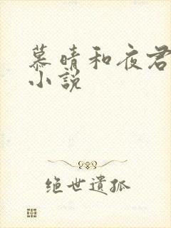 慕晴和夜君博的小说