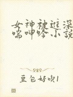 女神被进深处娇喘呻吟小说封面
