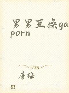 男男互操gayporn