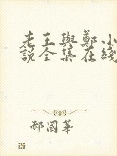 老王与郑小爽小说全集在线阅读