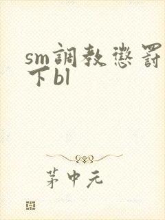 sm调教惩罚年下bl