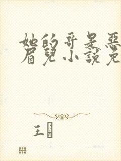 她的哥是恶魔白眉儿小说免费阅读