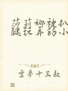 莎莉娜被扒开双腿玩弄的小说
