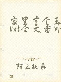 家里有个王小洛txt全文番外