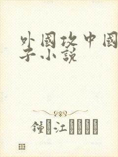 外国攻中国受生子小说