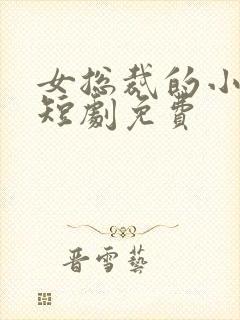 女总裁的小娇夫短剧免费封面