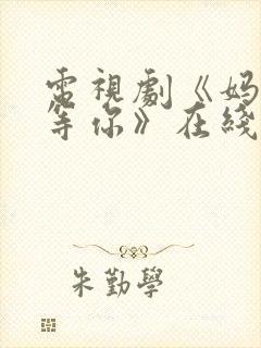 电视剧《妈妈在等你》在线观看