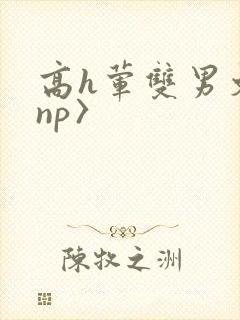 高h荤双男文〈np〉