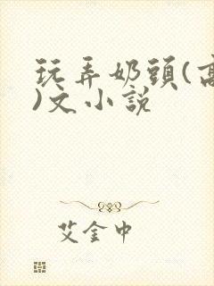 玩弄奶头(高h)文小说
