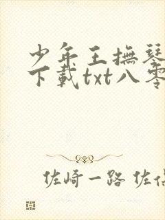 少年王抚琴的人下载txt八零电子书