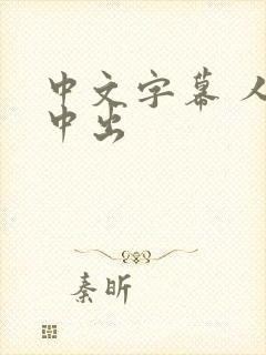 中文字幕 人妻中出