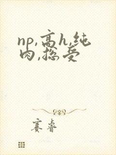 np,高h,纯肉,总受