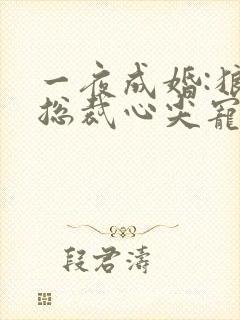 一夜成婚:狼性总裁心尖宠