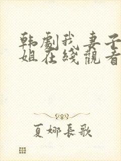 韩剧我妻子的姐姐在线观看封面