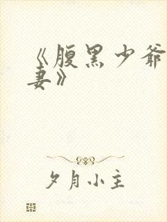 《腹黑少爷小甜妻》