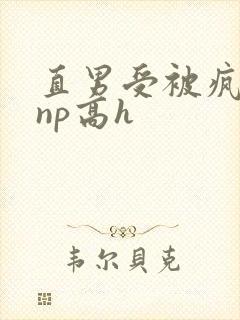 直男受被疯批强np高h封面