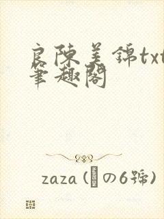 良陈美锦txt笔趣阁