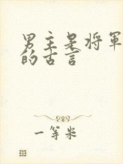男主是将军很虐的古言