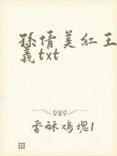 孙倩美红王申高义txt