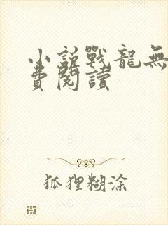 小说战龙无双免费阅读