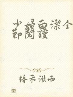 少妇白洁全文章节阅读