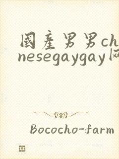 国产男男chinesegaygay网站