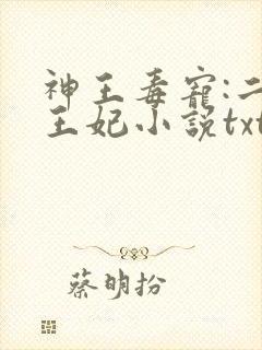 神王毒宠:二嫁王妃小说txt
