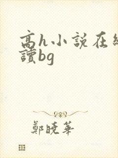 高h小说在线阅读bg