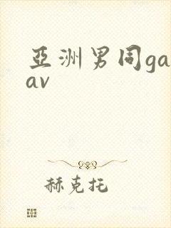 亚洲男同gayav