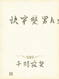 快穿双男h文