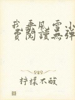 我乘风雪小说免费阅读无弹窗